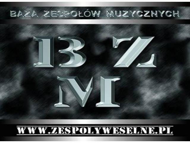 Baza Zespołów Muzycznych Mirex