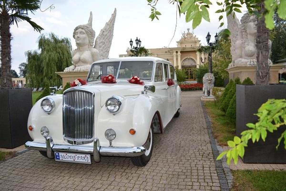 Limuzyna królewska Austin Princess - auto do ślubu Nestor Baron - zabytkowy Cadillac De Ville
