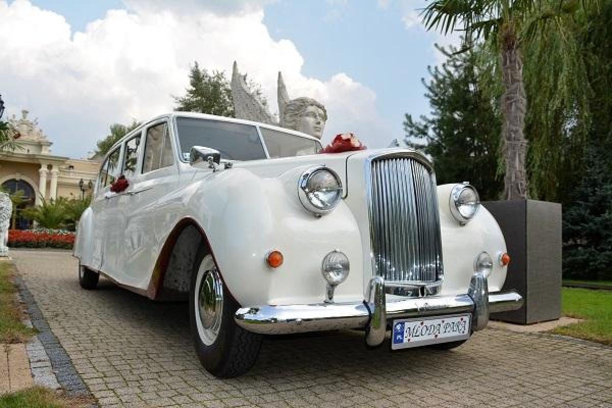 Limuzyna królewska Austin Princess - auto do ślubu Nestor Baron - zabytkowy Cadillac De Ville
