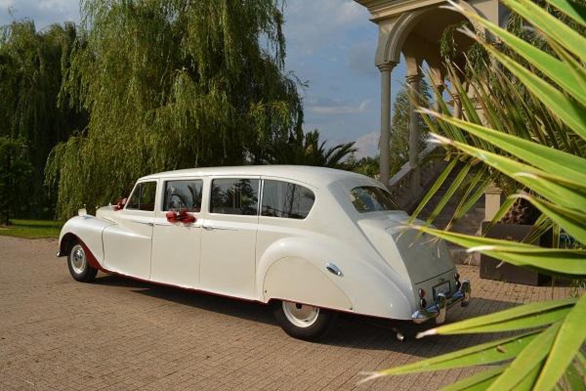 Limuzyna królewska Austin Princess - auto do ślubu Nestor Baron - zabytkowy Cadillac De Ville