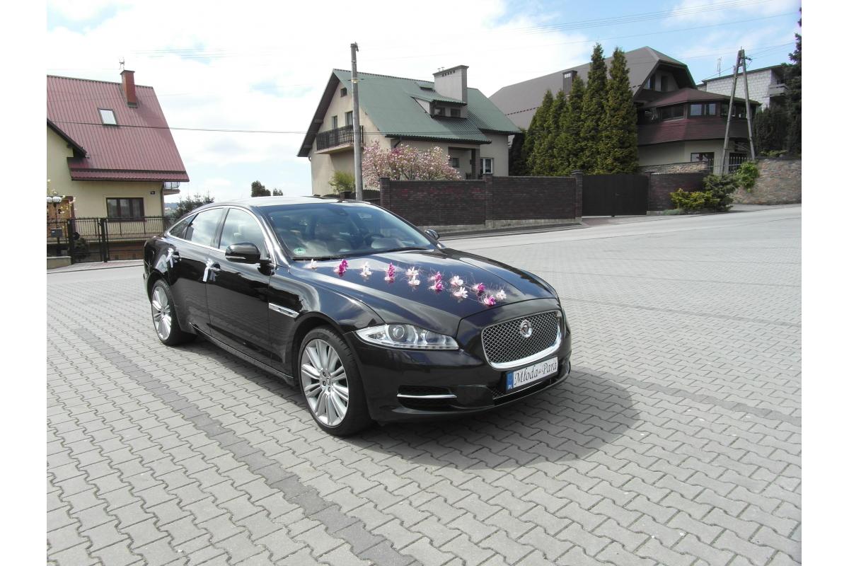 Jaguar XJ, Jaguar XF prestiżowe samochody do ślubu Kraków www.auto-na-slub.pl