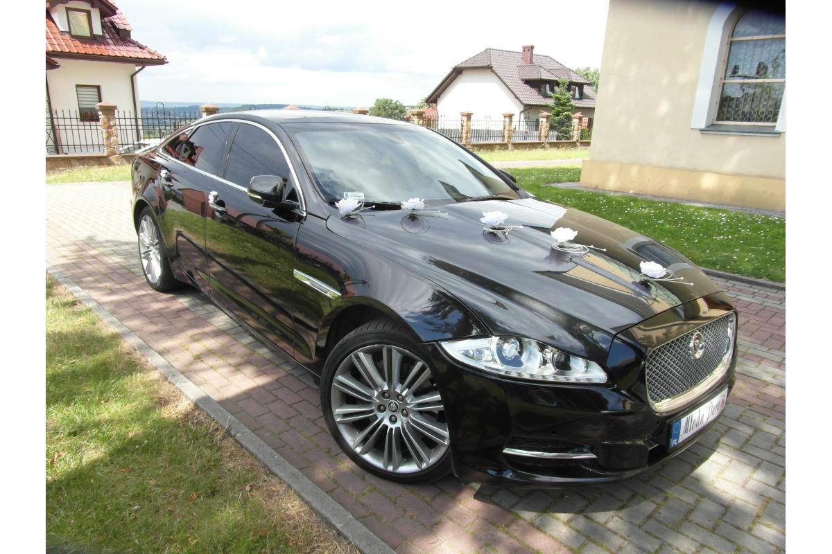 Jaguar XJ, Jaguar XF prestiżowe samochody do ślubu Kraków www.auto-na-slub.pl