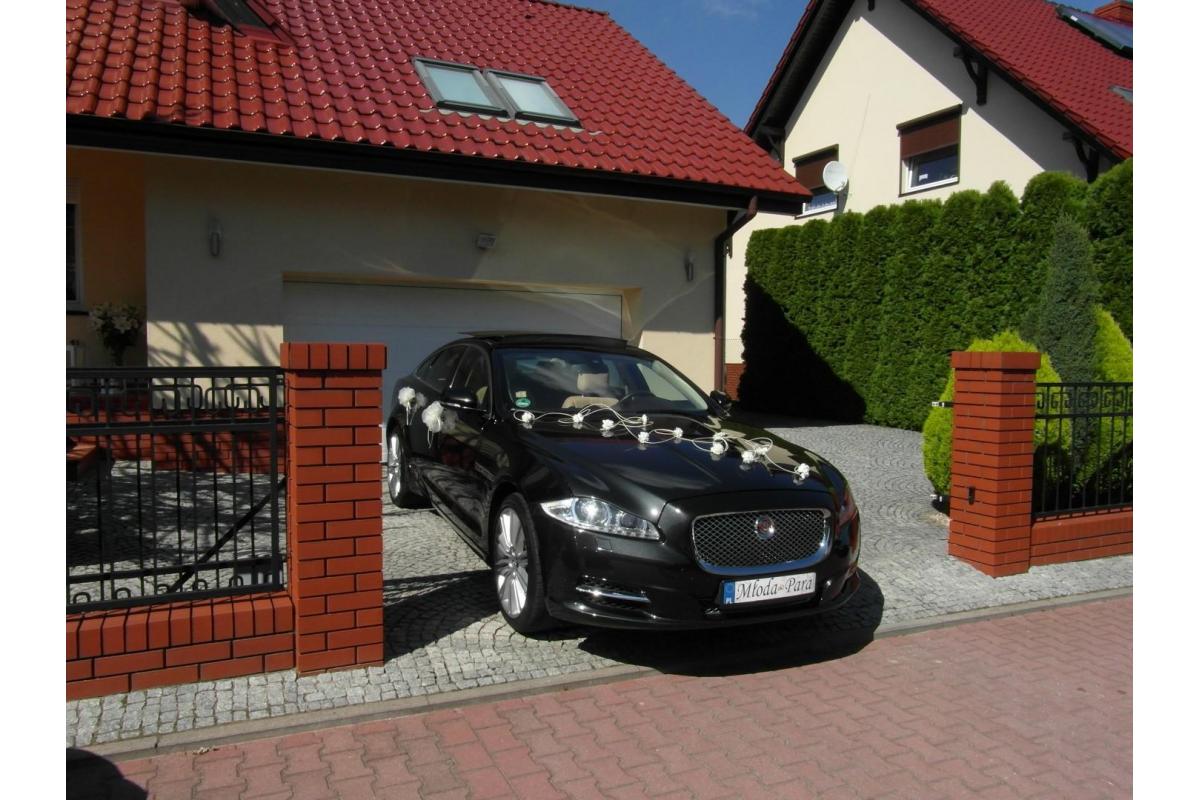 Jaguar XJ, Jaguar XF prestiżowe samochody do ślubu Kraków www.auto-na-slub.pl